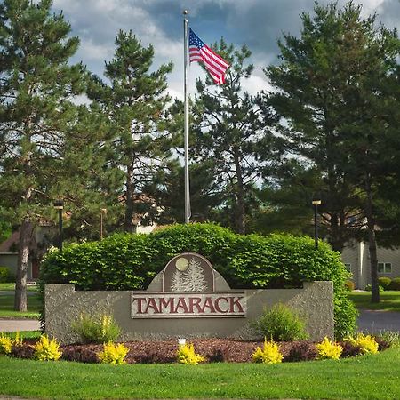 Tamarack And Mirror Lake Resort Wisconsin Dells Kültér fotó